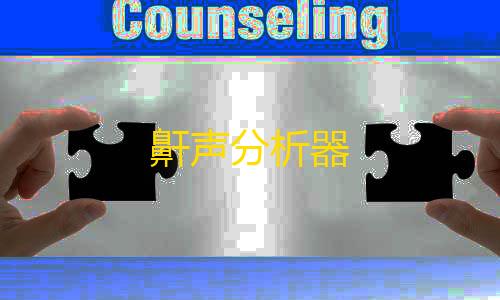 冰v11直装(免卡密)鼾声分析器